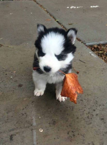 Daily Pictures. Part 1 (63 pics) Daily Pictures. Part 1 (63 pics)