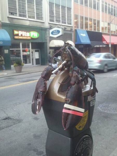 Daily Pictures. Part 1 (63 pics) Daily Pictures. Part 1 (63 pics)