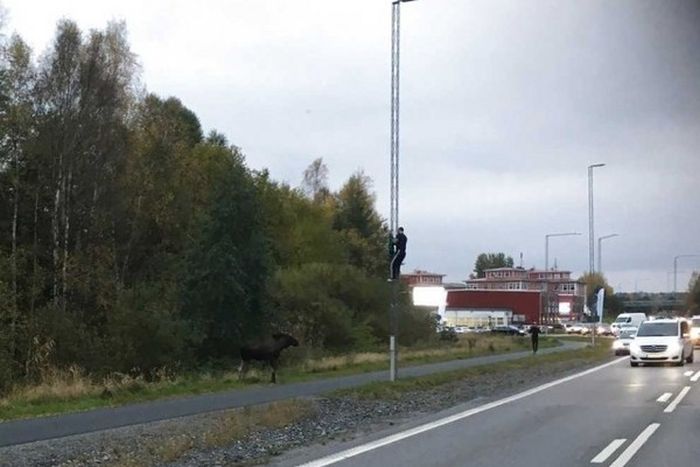 Daily Pictures. Part 2 (62 pics)