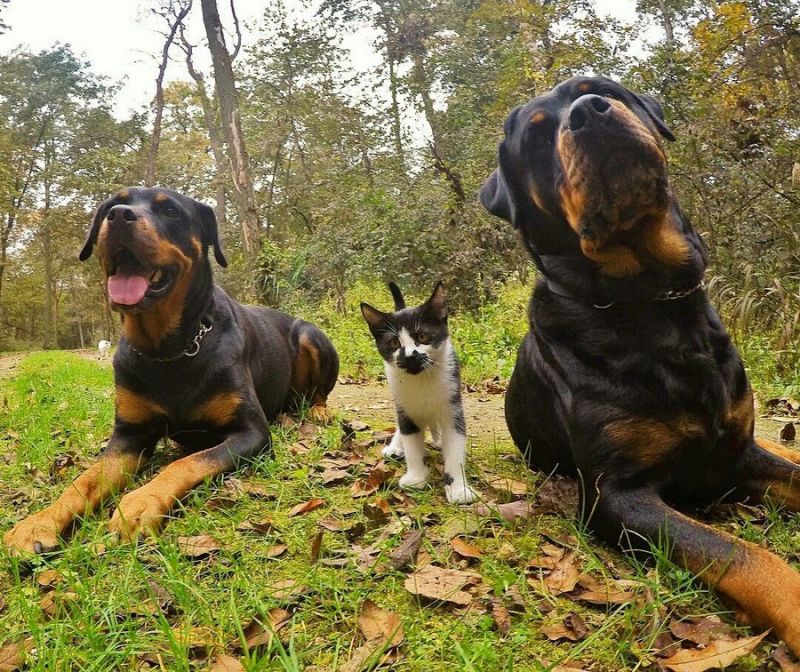 Daily Pictures. Part 2 (62 pics)