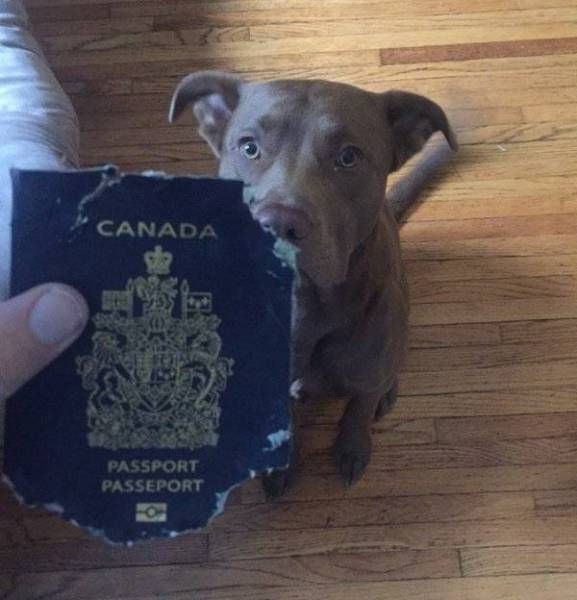 Daily Pictures. Part 1 (63 pics) Daily Pictures. Part 1 (63 pics)