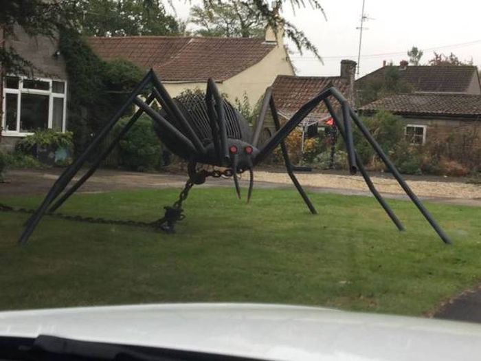 Daily Pictures. Part 2 (62 pics)