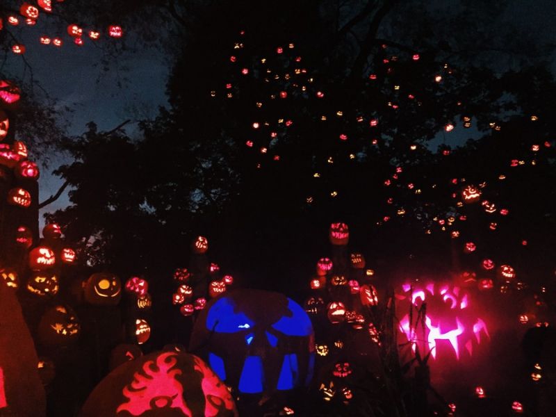 Daily Pictures. Part 2 (62 pics)