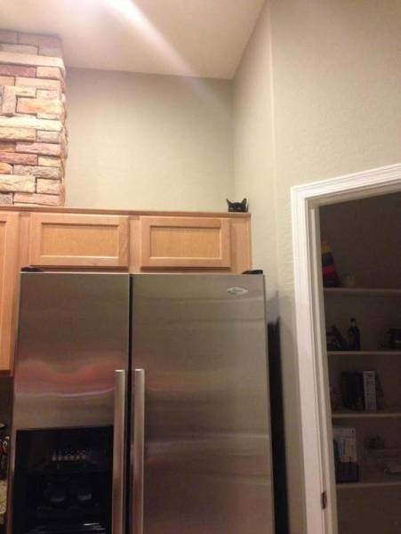 Daily Pictures. Part 1 (63 pics) Daily Pictures. Part 1 (63 pics)