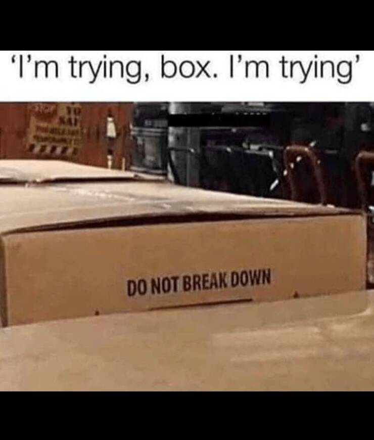 Daily Pictures. Part 2 (62 pics)