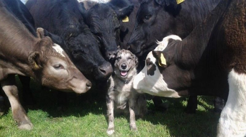 Daily Pictures. Part 2 (62 pics)