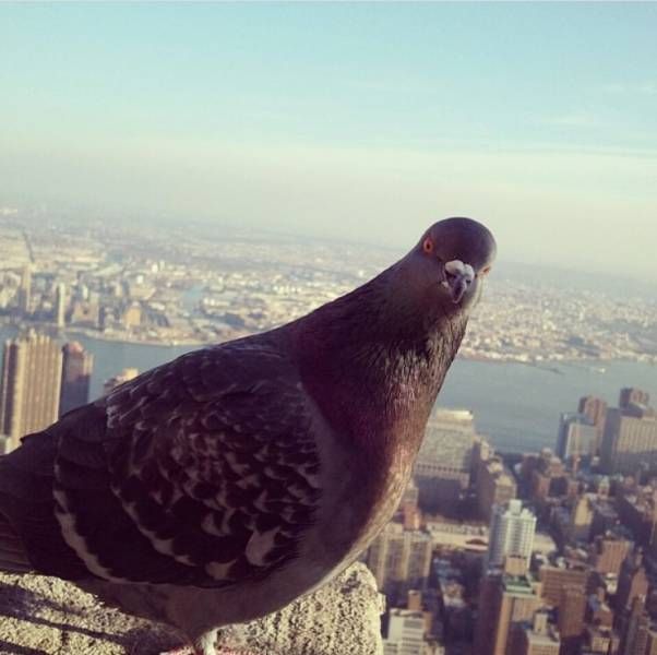 Daily Pictures. Part 1 (63 pics) Daily Pictures. Part 1 (63 pics)