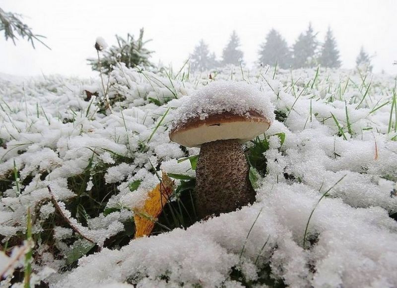 Daily Pictures. Part 2 (62 pics)