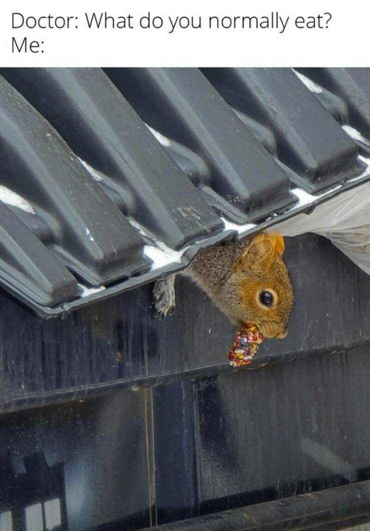 Daily Pictures. Part 2 (62 pics)