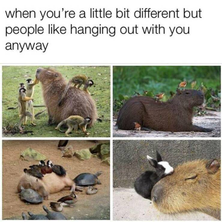 Daily Pictures. Part 2 (62 pics)