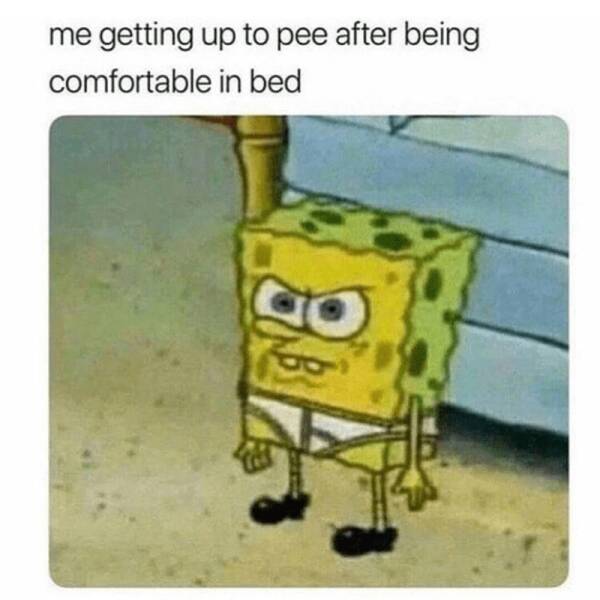 Daily Pictures. Part 2 (62 pics)