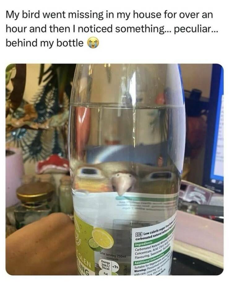 Daily Pictures. Part 2 (62 pics)