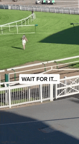 Acid GIFs, February 13 (25 gifs)