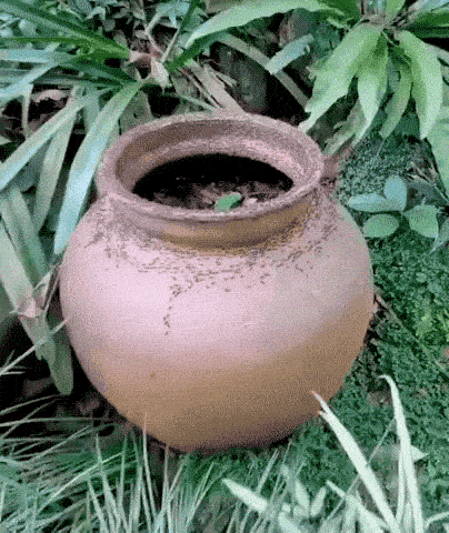 Acid GIFs, February 13 (25 gifs)