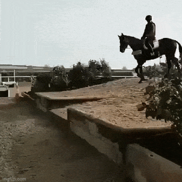 Acid GIFs, February 13 (25 gifs)