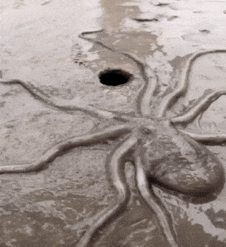 Acid GIFs, February 13 (25 gifs)