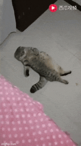 Acid GIFs, February 13 (25 gifs)