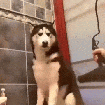 Acid GIFs, February 13 (25 gifs)