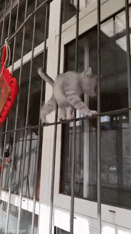 Acid GIFs, February 13 (25 gifs)