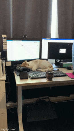 Acid GIFs, February 13 (25 gifs)