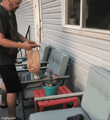 Acid GIFs, February 13 (25 gifs)