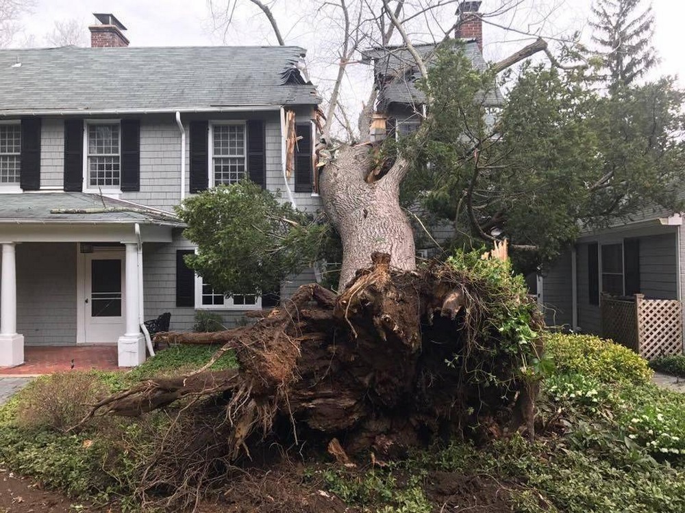 Bad Days Happen (25 pics) Bad Days Happen (25 pics)