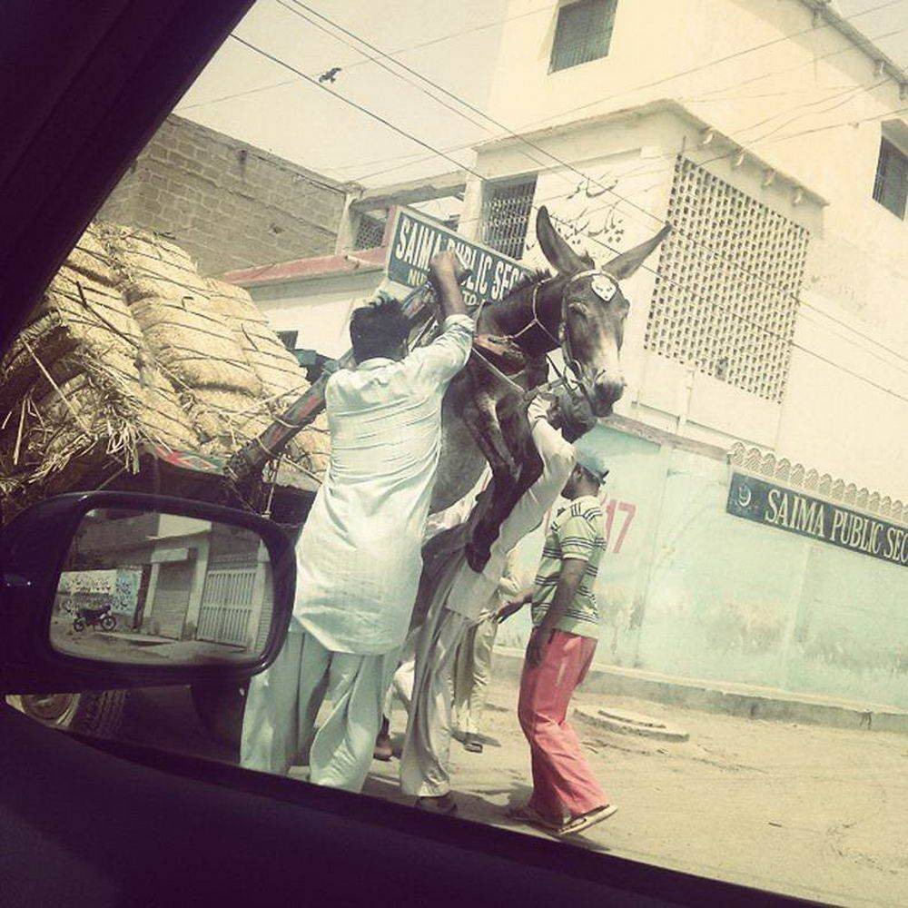 Bad Days Happen (25 pics) Bad Days Happen (25 pics)