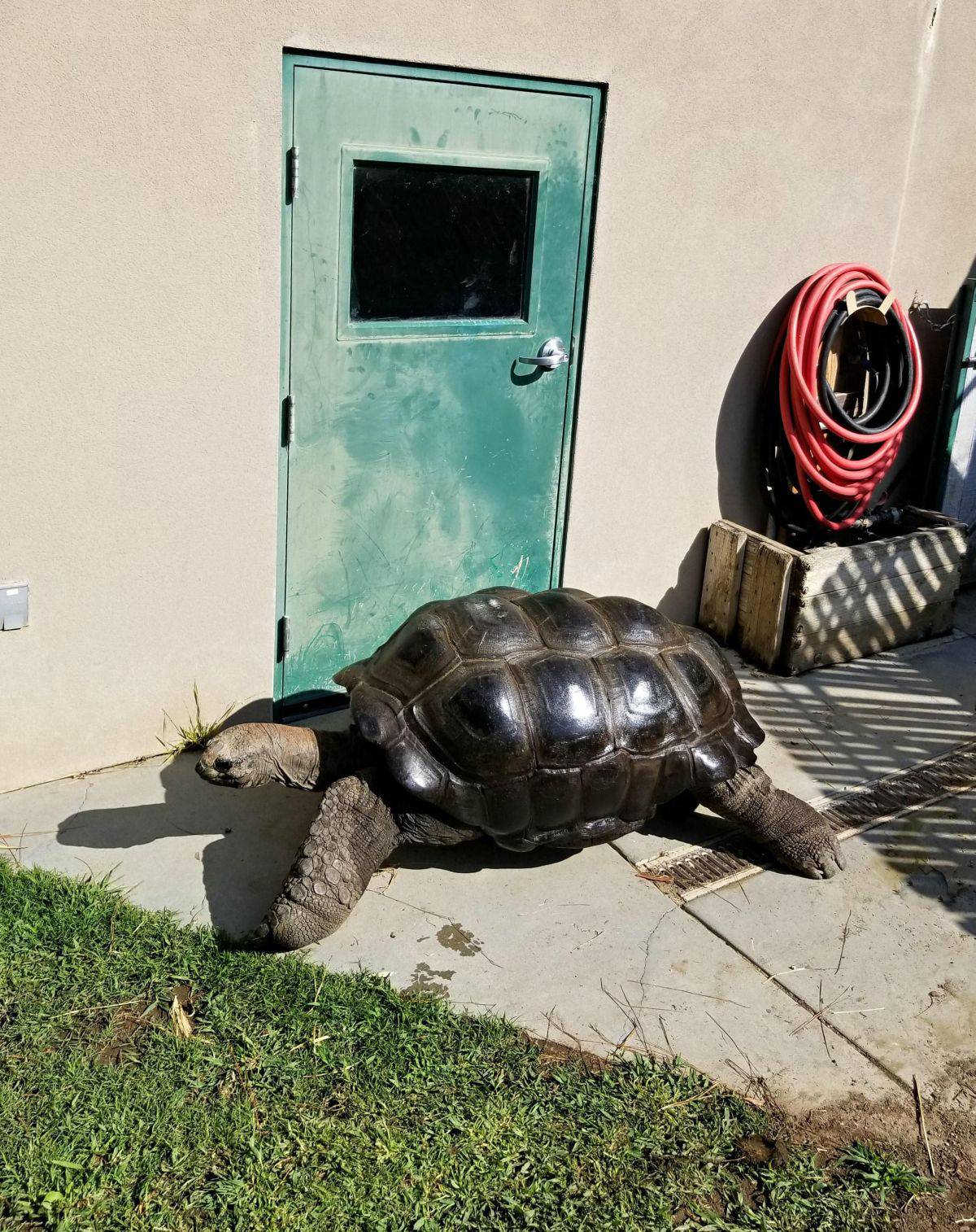 Daily Pictures. Part 1 (70 pics) Daily Pictures. Part 1 (70 pics)