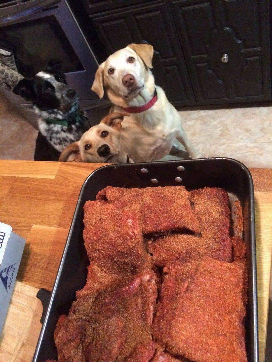 Daily Pictures. Part 1 (70 pics) Daily Pictures. Part 1 (70 pics)