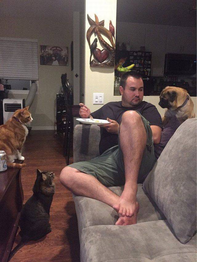 Daily Pictures. Part 1 (70 pics) Daily Pictures. Part 1 (70 pics)