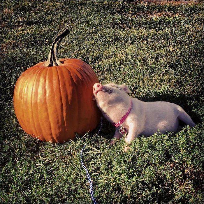 Daily Pictures. Part 1 (70 pics) Daily Pictures. Part 1 (70 pics)