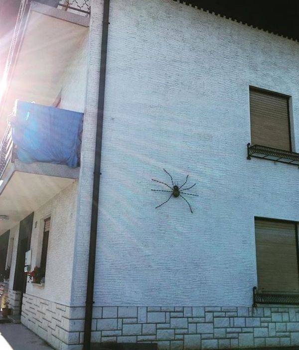 Daily Pictures. Part 1 (70 pics) Daily Pictures. Part 1 (70 pics)