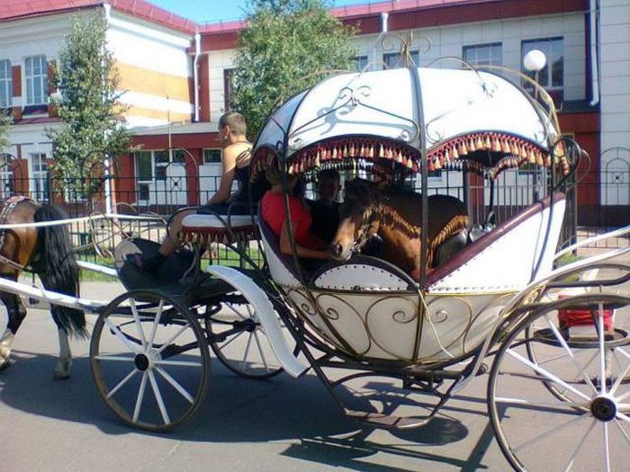 Daily Pictures. Part 1 (70 pics) Daily Pictures. Part 1 (70 pics)