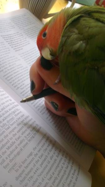 Daily Pictures. Part 1 (70 pics) Daily Pictures. Part 1 (70 pics)