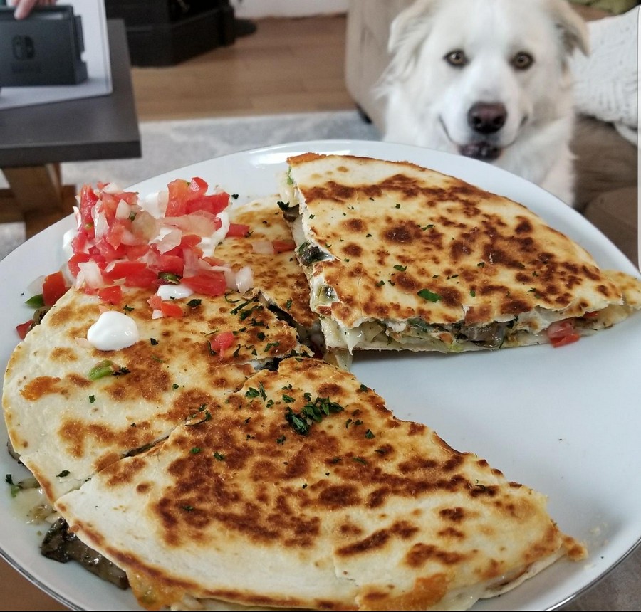 Daily Pictures. Part 2 (69 pics) Daily Pictures. Part 2 (69 pics)