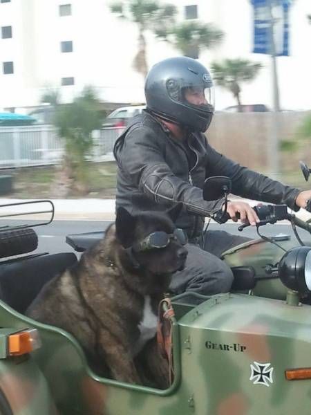 Daily Pictures. Part 1 (70 pics) Daily Pictures. Part 1 (70 pics)