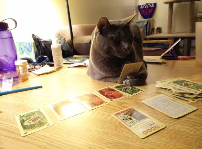 Daily Pictures. Part 1 (70 pics) Daily Pictures. Part 1 (70 pics)