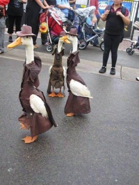 Daily Pictures. Part 1 (70 pics) Daily Pictures. Part 1 (70 pics)