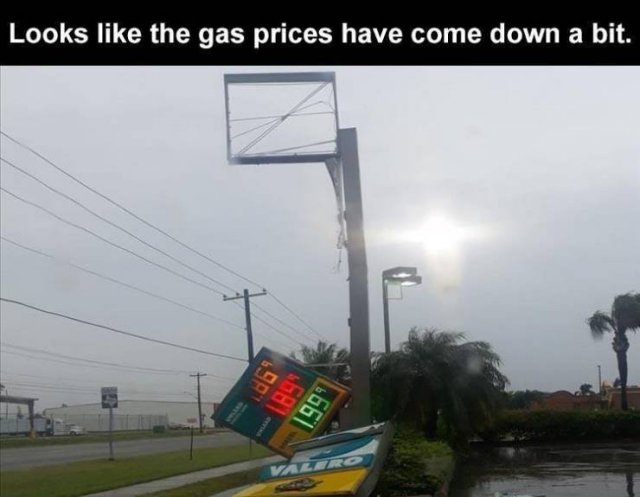 Daily Pictures. Part 2 (69 pics) Daily Pictures. Part 2 (69 pics)