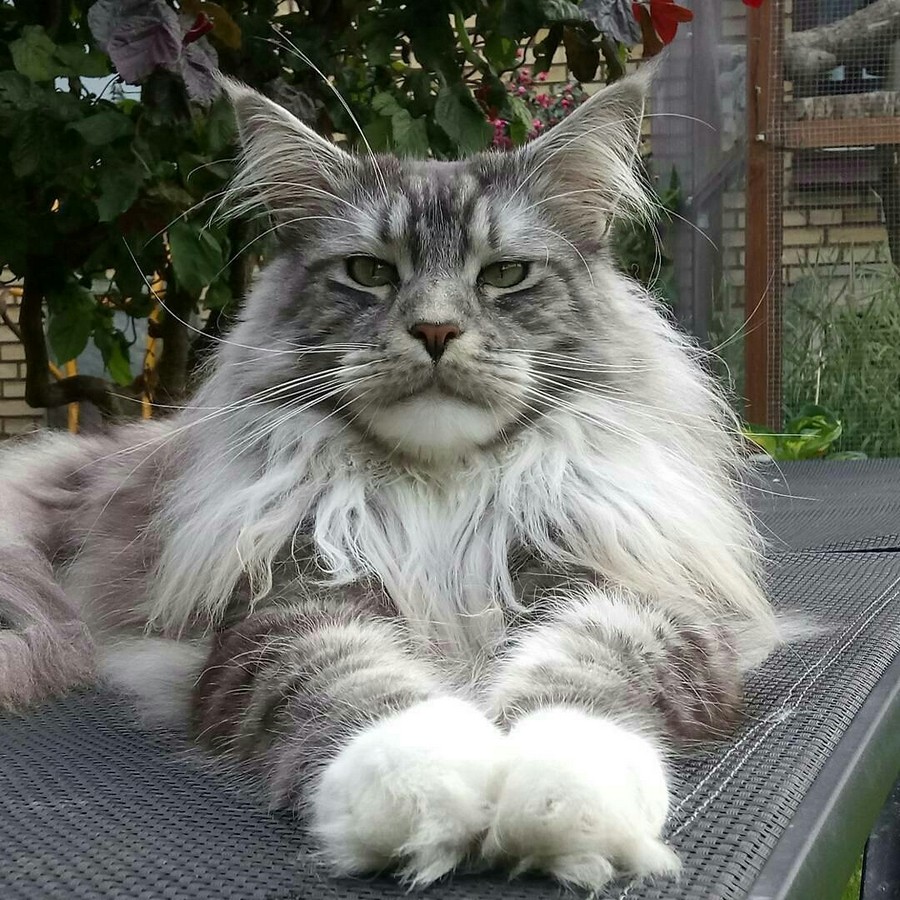 Daily Pictures. Part 2 (69 pics) Daily Pictures. Part 2 (69 pics)