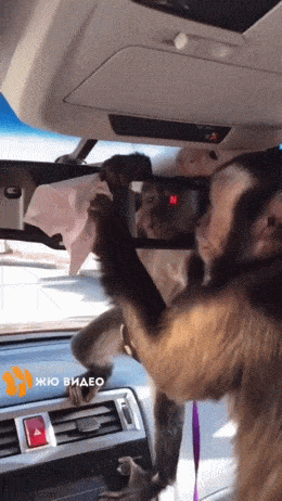 Acid GIFs, February 16 (25 gifs) Acid GIFs, February 16 (25 gifs)