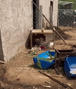 Acid GIFs, February 16 (25 gifs) Acid GIFs, February 16 (25 gifs)