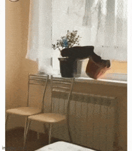 Acid GIFs, February 16 (25 gifs) Acid GIFs, February 16 (25 gifs)