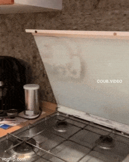 Acid GIFs, February 16 (25 gifs) Acid GIFs, February 16 (25 gifs)
