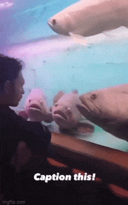 Acid GIFs, February 16 (25 gifs) Acid GIFs, February 16 (25 gifs)