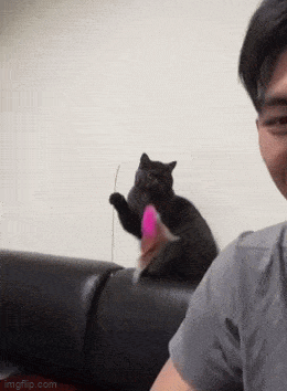 Acid GIFs, February 16 (25 gifs) Acid GIFs, February 16 (25 gifs)