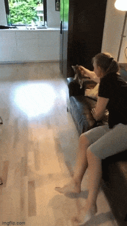 Acid GIFs, February 16 (25 gifs) Acid GIFs, February 16 (25 gifs)