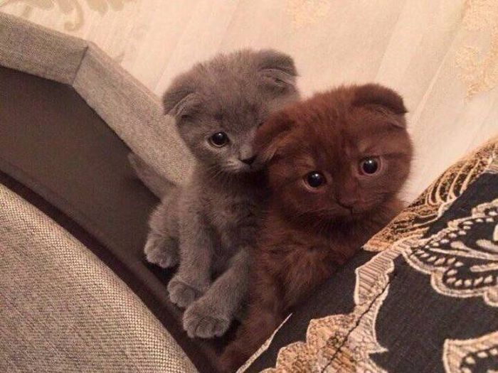 Daily Pictures. Part 1 (68 pics)