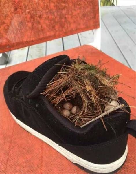 Daily Pictures. Part 1 (68 pics)