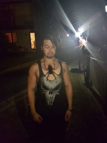 Daily Pictures. Part 1 (68 pics)